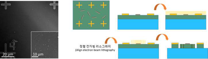 (좌) 그리드 패턴된 탬플릿 위의 나노막대 주사전자현미경 사진 (우) 나노막대와 광도파로/커플러를 결합하는 공정과정 모식도