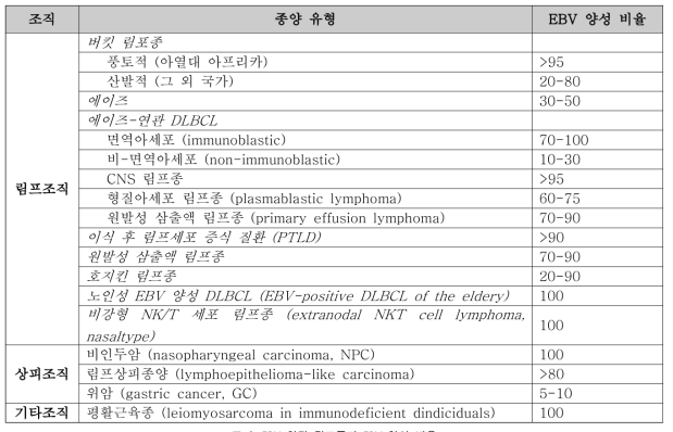 EBV 연관 림프종과 EBV 양성 비율