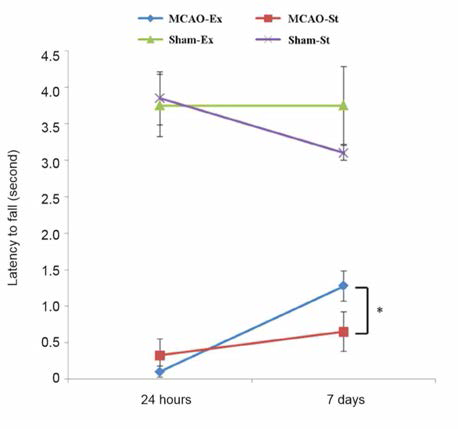 Rat MCAO 모델에서의 wire hang test 결과 Reperfusion 후 각 그룹의 wire hang test 결과. 그룹당 10마리의 개체가 실험에 참여했음.실험은 3분 간격으로 5회 반복 시행하였으며, 이를 평균 내어 latency to fall을 결정하였음. Ischemia 후 Reperfusion time은 24시간 또는 7일을 주었음. 통계적 유의성은 *P < 0.05 이었으며, sample t-test에 대하여 독립적으로 나타남