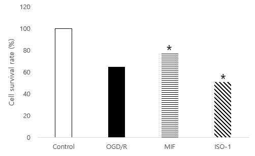 Cell survival rate compared to control group assessed from WST-1 assay