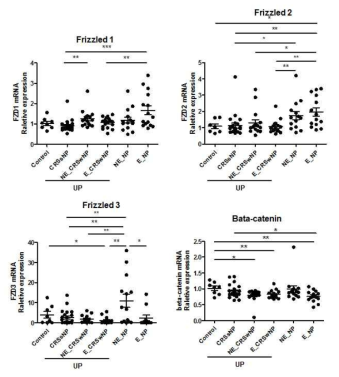 비강 폴립 human sample에서 WNT 관련 유전자 수준 변화 (WNT receptor 및 beta-catenin)