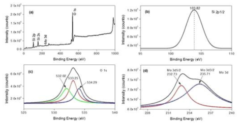 XPS spectra of Mo/SBA-15 catalyst