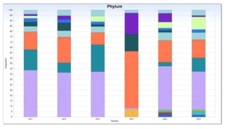 숨은 물벵뒤 습지의 미생물 군집 비교 (Phylum level)_ 3월