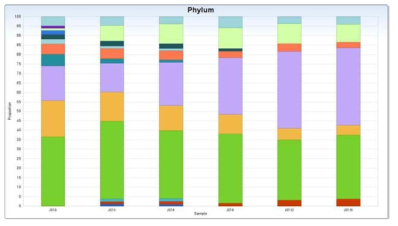 숨은 물벵뒤 습지의 미생물 군집 비교 (Phylum level)_ 7월