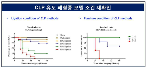 맹장의 결찰 범위와 천공의 크기, 횟수에 의한 생존율의 변화