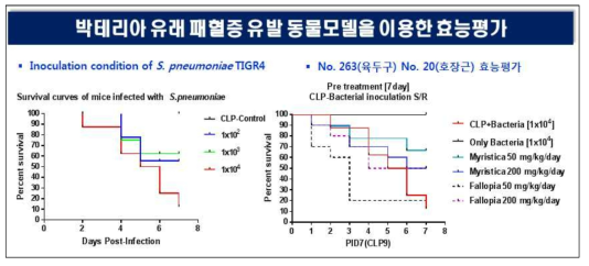 병원균의 접종량에 따른 생존율의 변화와 후보소재의 생존율 개선효과