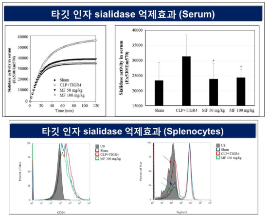 No. 263 (육두구) 에탄올 추출물의 타깃 인자 sialidase inhibition 효과