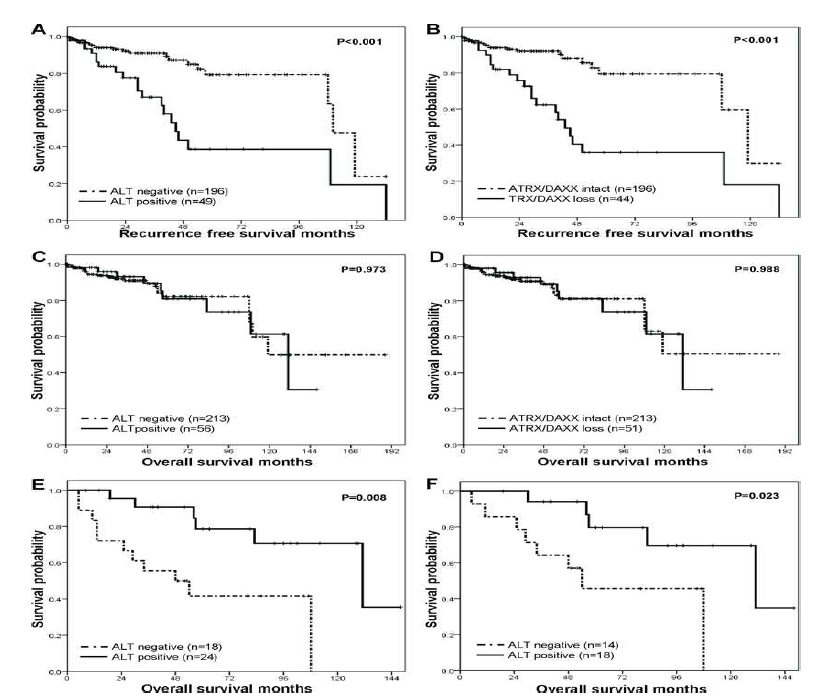 췌장 신경내분비종양에서의 ALT 상태와 ATRX와 DAXX의 단백발현에 따른 생존분석. A. ALT 양성인 췌장 신경내분비종양 환자의 무재발 생존율(38.7%)이 ALT 음성인 환자(79.2%)보다 나쁨 (p<0.001). B. ATRX, DAXX 단백 둘 중 하나의 발현이 손실된 환자(36.0%)가 그렇지 않은 환자 (79.4%)보다 무재발 생존율이 나쁨 (p<0.001). C. ALT 양성환자(80.8%)와 ALT 음성환자(82.1%)의 전체 생존율에는 차이가 없음 (p=0.973) D. ATRX, DAXX 단백 둘 중 하나의 발현이 손실된 환자 (81.1%)와 ALT음성 환자(81.1%)의 전체 생존율에는 차이가 없음. (p=0.988) E. ALT양성인 전이된 췌장 신경내분비종양 환자(78.6%)가 ALT 음성인 전이 환자(41.7%)보다 더 나은 전체 생존율을 보임 (p=0.008) F. 원발성 신경내분비 종양 절제 수술 후, 전이가 발생한 췌장 신경내분비종양에서 ALT 양성 전이환자의 전체 생존율(79.6%)이 ALT 음성 생존율(45.7%)보다 좋음. (p=0.023)