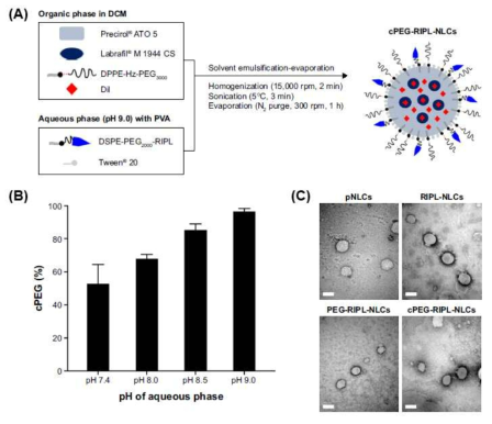 cPEG-RIPL-NLC의 제조조건 및 과정 (A), 다른 수상 pH 조건에서의 PEGylation 정도 (B), TEM 이미지 (논문게재 : 대표실적 #4)