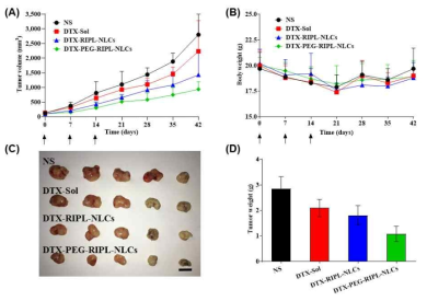 In vivo 치료효율 평가. 제형에 따른 종양 부피 변화 (A), 마우스 체중변화 (B), 절제된 암조직의 모양 (C), 절제된 암조직의 무게 (D)