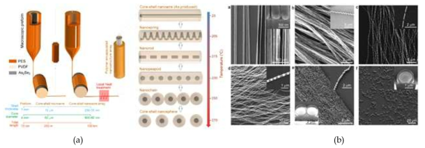 (a) Fabrication of novel nanoschemes. Low temperature, multimaterial fiber drawing method used for the iterative size reduction of a macroscopic layered rod down to core-shell nanowires. (b) Characterization of fabricated nanostructures. Temperature-dependent structure formation observed by scanning electron microscopy. Fabricated nanostructures are etched by dichloromethane and dispersed on glass prior to imaging