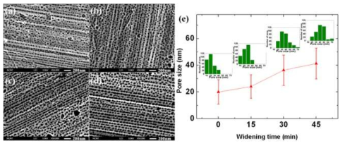 a) ~ e) AAO(Anodic Aluminum Oxide)으로 생성된 다양한 hole 크기의 FE-SEM 사진 및 직경