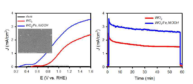 WO3/Fe, NiOOH 복합 전극의 광전기화학적 물산화 성능 평가