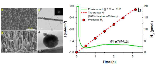고효율 수소생산을 위해 wire 형태의 Si 광전극 상단에 촉매로서 NiMoZn particle을 증착, 광전기화학적 성능 향상, Si 표면 개질 전후 및 촉매 증착 전후 광전류 생산 및 수소생산 비교