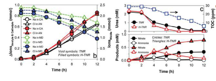 수소처리한 TiO2 nanorods 광전극을 이용한 광전기화학적 산화환원 반응을 통한 고부가 가치 생산