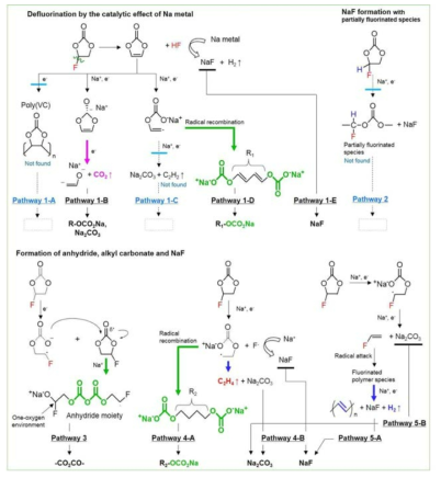 Possible mechanisms for the construction of the FEC-derived interlayer