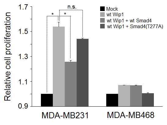 MDA-MB231 또는 MDA-MB468 세포를 wild-type Wip1 단독 혹은 wild-type Smad4 또는 Smad4(T277A)로 transfection 한 후 CCK-8 assay로 세포 증식을 측정함