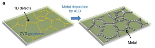 그래핀 경계에 위치한 선결함을 금속ALD 공정을 통한 결함치유