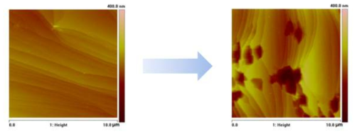 Copper etchant 처리 전후 AFM 분석
