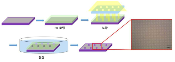 포토리소그래피를 이용한 마크로스케일 그래핀 결함 모델 제작