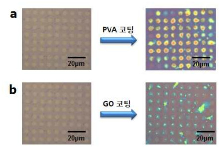 그래핀 결함을 (a) PVA 와 (b) GO를 이용하여 선택적, 물리적으로 치유하는 것을 보여주는 광학현미경 이미지