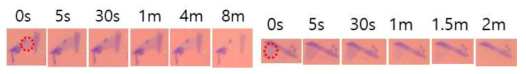 Ar plasma 시간에 따른 Graphene의 optical images & O2 plasma 시간에 따른 Graphene의 optical images