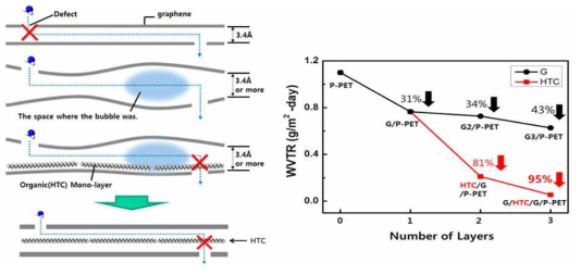 그래핀 결점을 유기물로 덮음으로써 물리적으로 결점 제어 메커니즘과 그 효과