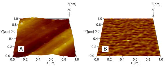 전해연마에 따른 알루미늄 표면의 SPM 이미지 A. 전해연마 전 알루미늄 표면, B. 전해연마 후 알루미늄 표면