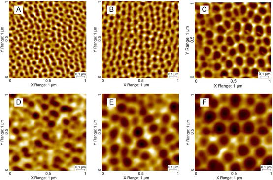 다양한 조건에서 양극산화된 알루미늄을 이용하여 가공된 나노렌즈의 SPM표면 이미지. A. 0.3 M 옥살산, 40 V, B. 60 V, C, 80 V, D. 1.0 M 인산, 80 V, E. 100 V, F. 120 V