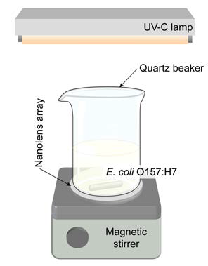 나노반사렌즈 어레이의 살균효율 향상 실험을 위한 정치형 자외선 살균 시스템의 모식도