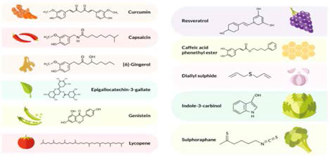 Nrf2/ARE 활성화에 관여하는 phytochemical compounds