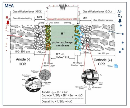 전해질막-전극 조립(membrane electrode assembly, MEA)의 단면 도식 표현. 참고문헌 [2]과 [3]를 편집하여 그림