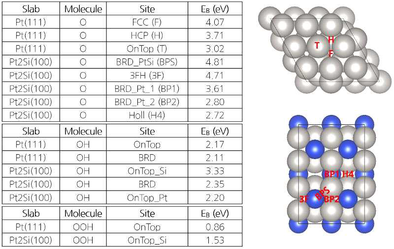 ORR 반응 중간생성물 (O, OH, OOH)의 흡착에너지 계산 결과