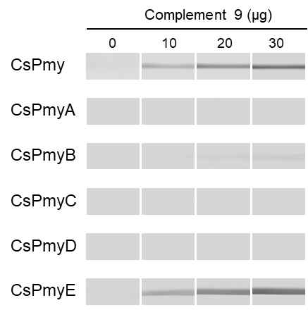 Binding of CsPmy fragments to C9. CsPmy fragments recombinant proteins were blotted onto a nitrocellulose membrane and proved with anti-complement 9