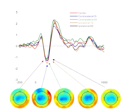 Effect of angle. 각도에 따른 waveform과 N1에 대한 topography를 보여주고 있다