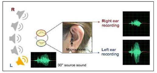 일측성 난청환자의 방향성 과제를 위한 자극음 개발. 양이 녹음을통해 fMRI촬영 중 방향성이 있는 청자극을 제시할 수 있으며, 환자들의 spectral 정보까지 포함되어 보다 정확한 검사가 가능함