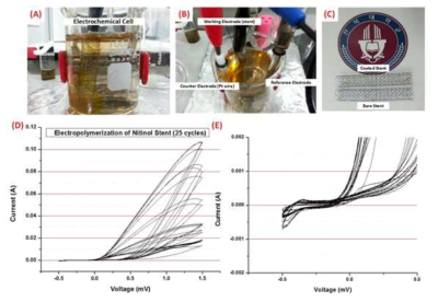 전기중합(Electropolymerization)과정 (A, B) 작동 전극으로 기능하는 스텐트. (C) 25번의 전기 중합 과정이 지난 후, 일반 니티놀 스텐트(하단)와 60mm로 코팅된 니티놀 스텐트(상단)를 비교. (D) 25회 전기 중합 과정의 순환 전압/전류 그래프. (E) 폴리도파민의 환원을 보여주는 순환 전압/전류 그래프
