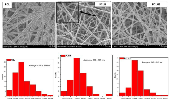 FE-SEM images of the electrospun plain and composite nanofibers morphology and fiber diameters distribution