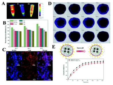 (A) Heating properties of (i) MHI-148 conjugated magnetic micelle, (ii) PBS, and (iii) the MHI-148 conjugate magnetic micelle after magnetohyperthermia. (B) In vitro biocompatibility evaluation of the synthesized nanocomposites (MMGC). (C) Confocal images of (i) CT26 and (ii) SCC7 cells. (D) Penetration of MMGC into CT26 cell spheroids. (E) PTX release profiles at different pH conditions