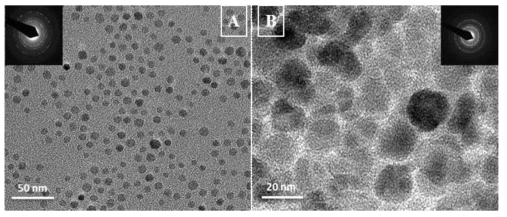 (A) 산화철 나노 입자 및 (B) HEDO-Fe3O4 의 TEM 이미지