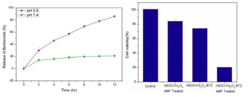 (좌)BTZ는 HEDO-Fe3O4-BTZ 나노 입자를 pH 5.0 및 7.4의 두 가지 pH 값에서 시간 경과에 따라 방출. (우) SCC7 세포에 대한 HEDO-Fe3O4-BTZ의 항암 효과 평가