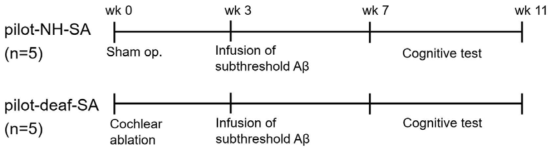 실험의 flow sheet