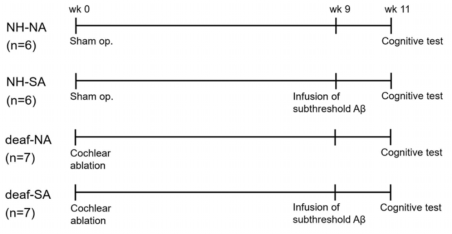 실험의 flow sheet