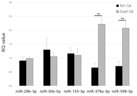 miR-376a-3p, miR-598-3p가 amyloid-β 투여 정상 청력군과 amyloid-β 투여 난청군에서 유의한 차이를 나타냄