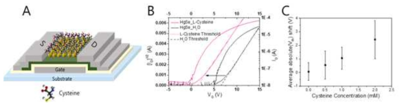 띠내전이를 가지는 HgSe 콜로이드 양자점을 센서 물질로 사용하여 L-cysteine 의 농도를 2mM에서 10 nM 까지 측정함. (ACS Appl. Mater. Interf., 2019, 11, 7242-7249)
