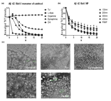 (a) Fluorescence measurement of Aβ42 Fibril / Monomer of catechol. (b) Fluorescence measurement of A β42 Fibril / Nanoparticle. (c) TEM image of Fibril / inhibitor