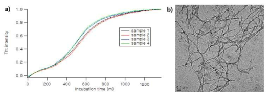 a) Aβ 42(25uM)의 ThT 응집 곡선 b) TEM으로 측정된 응집된 Aβ 42 amyloid fibril 구조