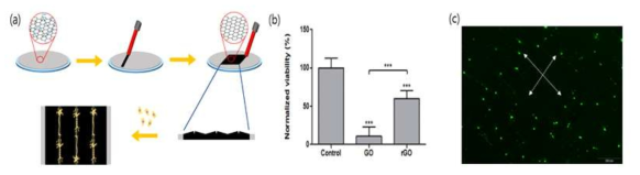 (a) 실험개략도. (b) 그래핀 옥사이드와 환원된 그래핀 옥사이드, PDL-coated glass(control)에서 키운 뉴런의 생존률. (c) 레이저 빛을 체크모양으로 쪼여서 얻은 체크 패턴 기판에서 키운 뉴런의 모습