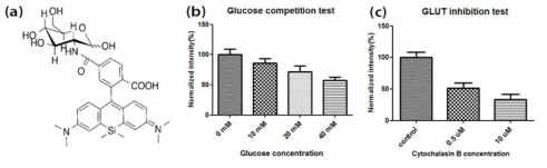 (a)glucose-uptake sensor의 화학구조, (b)normal glucose와 sensor의 경쟁 반응 결과 (c)GLUT inhibitor에 의해 intensity 차이가 발생하였다