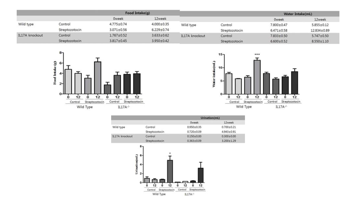 Effect of IL-17 knockout on renal physiology. C57BL/6N and IL-17 knockout mice were injected with STZ (50 mg/kg) for 5 consecutive days. After 3 month, the C57BL/6N and IL-17 knockout mice were sacrificed. After STZ treatment food intake, water intake and urination was increased. Diabetic IL-17-/- mice are relatively reduced from food intake, water intake and urination compared to WT diabetic mice